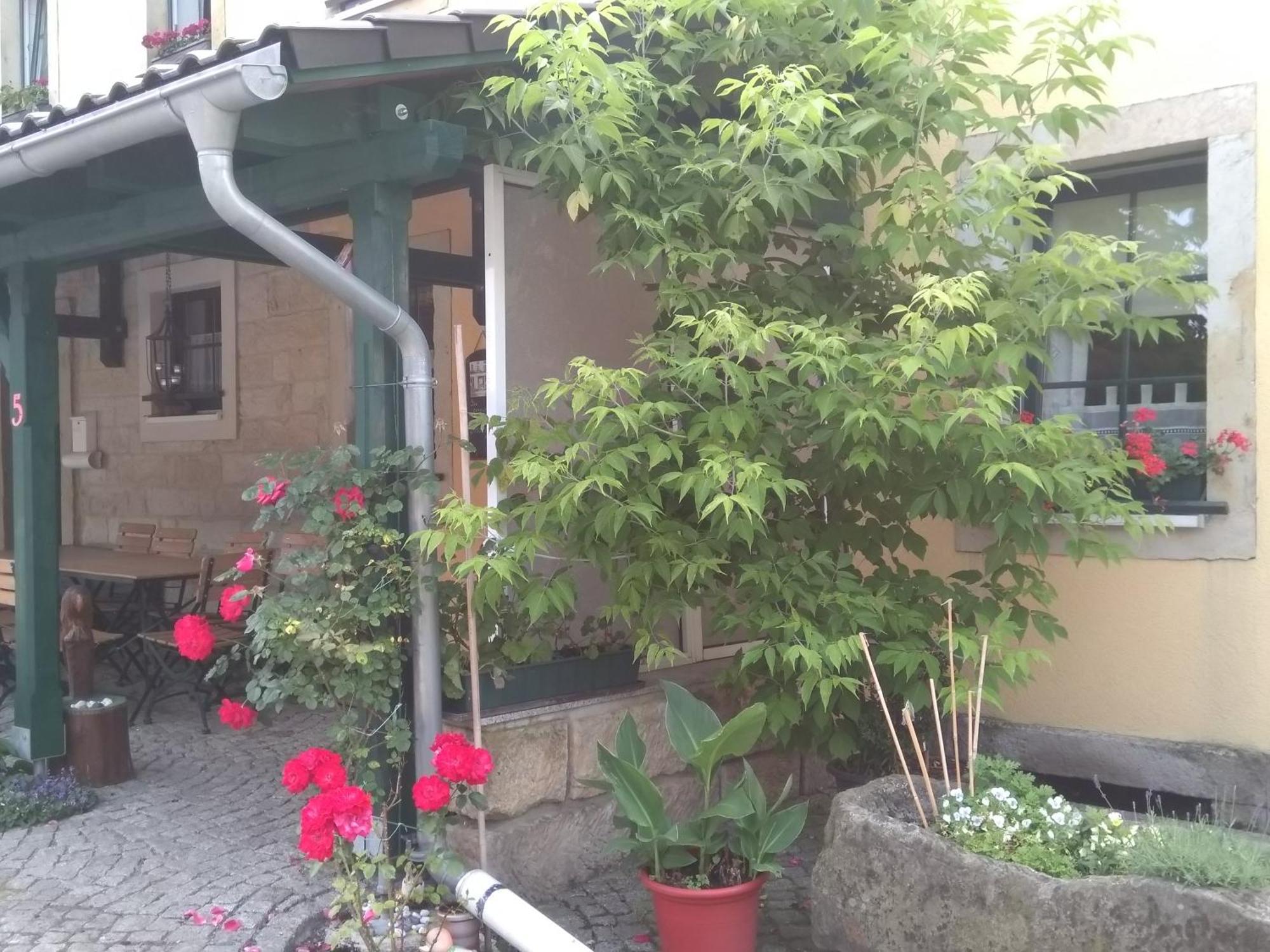 Landhaus Rundblick Im Elbsandsteingebirge Bei Bad Schandau Rathmannsdorf Ngoại thất bức ảnh